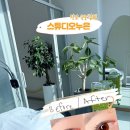 스튜디오 누은