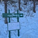 신진목장 | 강원도 평창 여행) 국내 겨울 명소 추천 &#34;대관령 양떼목장&#34;