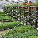 그린농자재마트 이미지