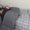 아르셀라 이미지