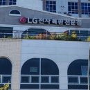 국가대표 아라태권도 이미지