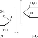 (주)글루칸 이미지