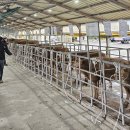 서성목장 이미지