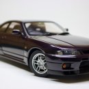 Nissan Skyline GT-R (R33) 이미지