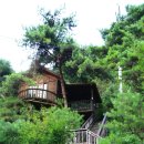 솔베르크 이미지