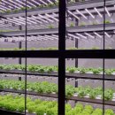 경향농장 이미지