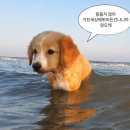 [KOTRA] 📩 무역실무 교육 후기｜이메일 한 통이 거래를 바꾼다?!