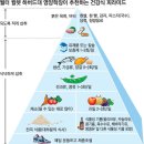 ▶ 건강백세100세 장수인의 식단은…채소·된장·小食 이미지