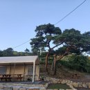 포레스트펜션 이미지