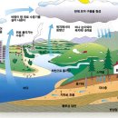 토양정보 활용 - 산림정보 다드림 필지별 산림정보 조회 이미지