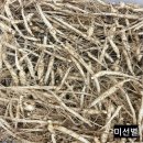 미건농약사 | 묘삼 할인 판매 합니다(품절)