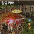 황금카 이미지
