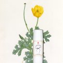 바디픽스 이미지