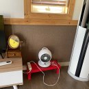 안목있는 춘향 이미지