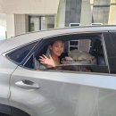 부산 목장원 웨딩홀 본식 후기 - 꿈같이 화창했던 나의 결혼식🤍
