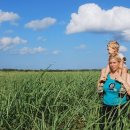 강남 행정사 사무소 이미지