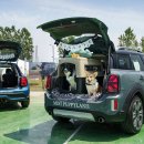 퍼피랜드 이미지