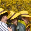 리라초등학교 이미지