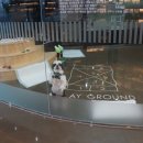 해운대동물메디컬센터 이미지