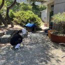 김천정월식당 이미지