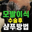 강남 신사역 모발이식병원, 모발이식 수술 후 샴푸하는 방법은 이미지