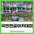 금암노인복지관 | 꽃비 속에서 피어난 인생 이야기: 금암노인복지관과 함께하는 2026 디지털 여행