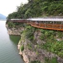 낭만느림보 이미지