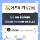 분당-282 이미지