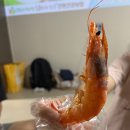 오이도전통수산시장1 이미지