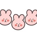 카페헤이샌디
