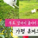 대성공판장