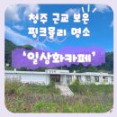 한국화교실 | [일상화카페] 청주 근교 보은 핑크뮬리 명소 카페