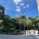 회원동114 이미지