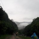 강산회 이미지