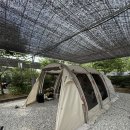 진악산오토캠핑장 | 대전 근교 프라이빗한 키즈캠핑장:) 진악산오토캠핑장 사이트별 정면뷰 솔직후기