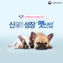 디에스산업 이미지