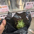 조영축산 이미지