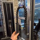 무브투무브 | 헬스장 삼두운동 필수템 기어투무브 케이블 로프바 실제 운동후기