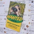 뮤직향기