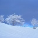 만항등산로입구 이미지