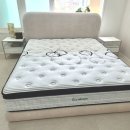 1227 | 대구 경북 금성침대 가구 백화점 에코드림 1227 킹침대 배송 후기 달서구