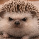 김해시청역(2번출구 옆) 이미지