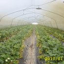 동중농장 이미지