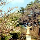 매화1공원 이미지