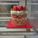 성수 | 성수동 케이크 예쁜 케이크 전문점 터틀힙 성수 솔직후기