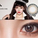 바비 펫 이미지