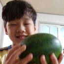 파파야(주) Daum카페