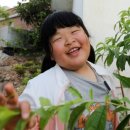 경미