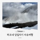 지에스25화산한승점 | 도쿄 하코네 당일치기 자유여행 코스 및 가는법 프리패스
