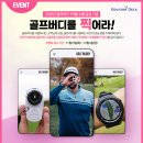 버디골프존 이미지